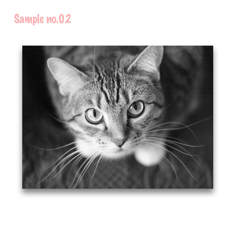 猫の写真ファブリックパネル